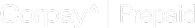 Site Logo - Footer